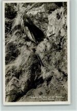 6377 Seelisberg - Am Wege auf den Niederbauen Tunne-Eingang