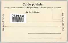 7418 Tumegl/Tomils Foto AK Schloss Ortenstein