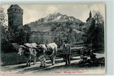 6000 Luzern Lucerne - Ochsengespann Musegg