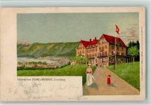 8000 Zürich 1902 Lithographie Kunstanstalt Frey & Söhne - Zürichberg, Alkoholfreies Kurhaus, AK