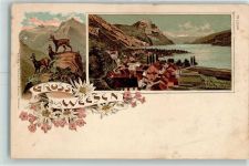 8872 Weesen 1900 Lithographie Gämsen