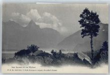 Schwanau Insel - Lowerzsee