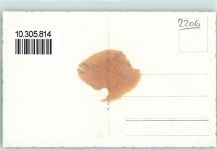 2206 Les Geneveys-sur-Coffrane Gebrauchsspuren