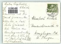 7050 Arosa - Eichhörnchen