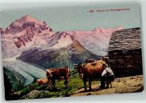Roseg Gletscher - Kühe Bauer beim melken