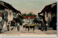 1248 Hermance - Rue du Nord Ochsenkarren