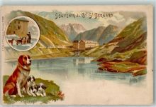 1946 Bourg-St-Pierre Gebrauchsspuren St. Bernard Bernhardiner Lithographie