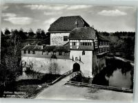 8580 Amriswil 1956 Foto AK Schloss Hagenwil