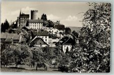 8158 Regensberg Foto AK Schloss