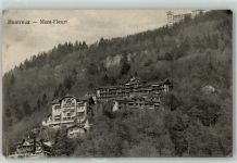 1820 Montreux 1910 - Mont Fleuri