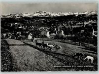 Langnau am Albis Wildpark Langenberg gegen Langnau und die Alpen Rehe Gaberell