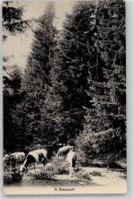 2067 Chaumont 1913 - Kühe am weiden