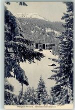 3975 Montana Vermala Randogne - Etablissement Stephani Winter