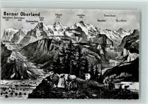 3814 Gsteigwiler Fotomontage AK Bauersfrau Kühe