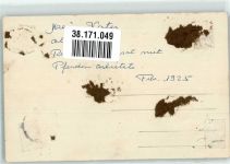 Remonten, Sand Grundausbilder bei jungen Pferden Akkordeon Militär Schweiz 1925 Gebrauchsspuren