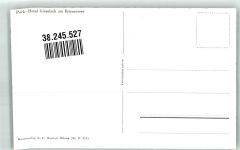 3855 Brienz BE - Hotel Giessbach Brienzersee Dampfschiff