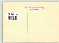 8570 Weinfelden Foto AK Ausstellung Gartenbau