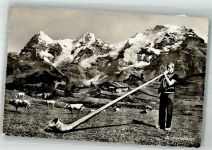 Aplhornbläser Kühe Photoglob Wehrli AG d 516 Alphorn Foto AK