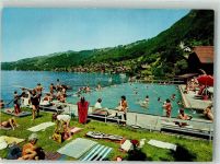 3658 Merligen Foto AK Schwimmbad