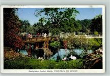 Zürich Zoologischer Garten Tierleben am Weiher Zoo