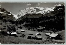 Steinenbergalp - Blümlisalp