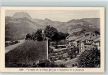 1663 Gruyères 1948 - Terrasse de la Fleur de Lys a Gruyeres et le Moleson , Verlag Morel 3205 AK