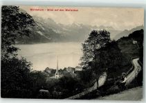 8874 Mühlehorn 1908