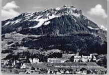 6440 Ingenbohl - Institut, Pensionat Theresianum, Fronalpstock