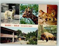 Basel Bâle Eisbär Löwen Giraffe Bison Zoo Foto AK