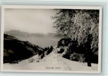 1833 Les Avants - Sonloup S.E.V. Winter Bäume