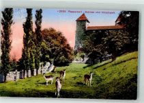 8640 Rapperswil SG 1912 - Hirschpark Schloss