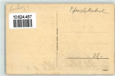 3952 Susten - Postkutsche Steinalp