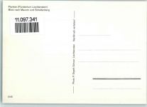 9498 Planken - Blick nach Mauren und Schellenberg