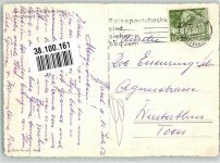 Basel Bâle Schimpansen-z` Vieri Zoo