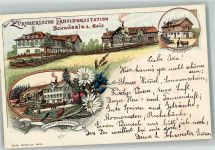9056 Gais 1900 Lithographie Zürcherische Erholungstation Schwäbrig