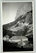 Obere Walalp