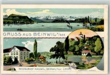 5712 Beinwil am See 1910 Lithographie Gasthaus Hallwil J. Merz Fischzucht-Anstalt Seerose