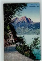 6363 Bürgenstock - Felsenweg mit Pilatus