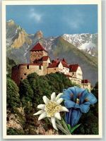 9490 Vaduz Fotomontage AK Schloss Blumen Edelweiß Enzian