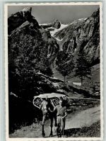 Alpstein - Im Alpstein Der Seealpsäumer Im Hintergrund der Säntis Pferd