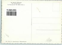 Alpstein - Im Alpstein Der Seealpsäumer Im Hintergrund der Säntis Pferd