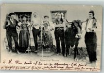 Schweizer Bauern Kuh Tracht