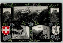 Aescher-Wildkirchli 1913 - Hoher Kasten Altmann Säntis Säntisspitze Aescher Wappen Zierblumen