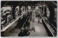 Neuburg - Ausstellung , Foto-Karte