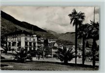 6600 Locarno - Palmen