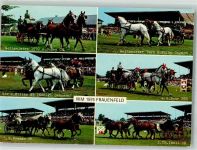 8500 Frauenfeld Foto AK Sportplatz Pferdesport WM 1974 Feldpost Pz Hb D Bttr. 19