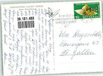 Zürich Junge Braunbären Zoo