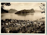 6354 Vitznau Foto AK Vierwaldstättersee