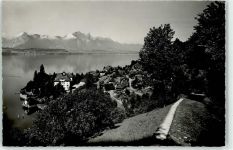 3654 Gunten Foto AK Thunersee