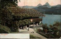 6377 Seelisberg Treib